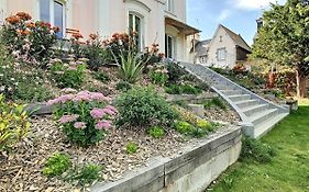 Maison Lacase